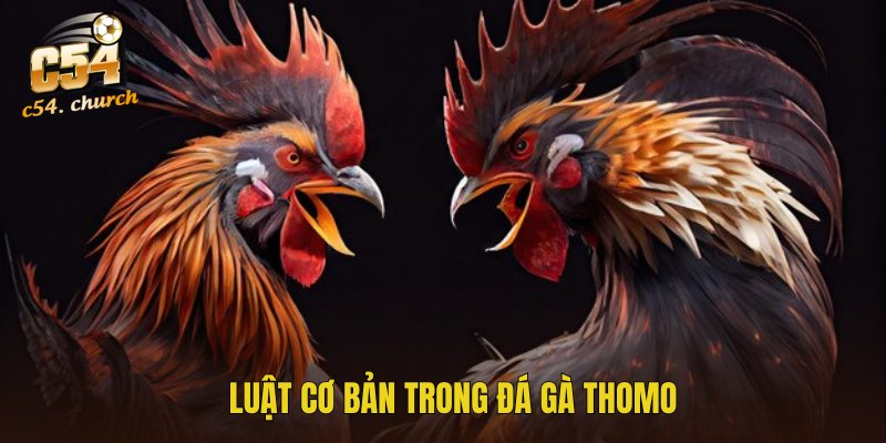 Luật cơ bản nên biết