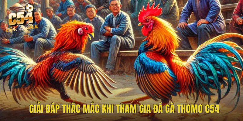 Giải đáp thắc mắc tại C54